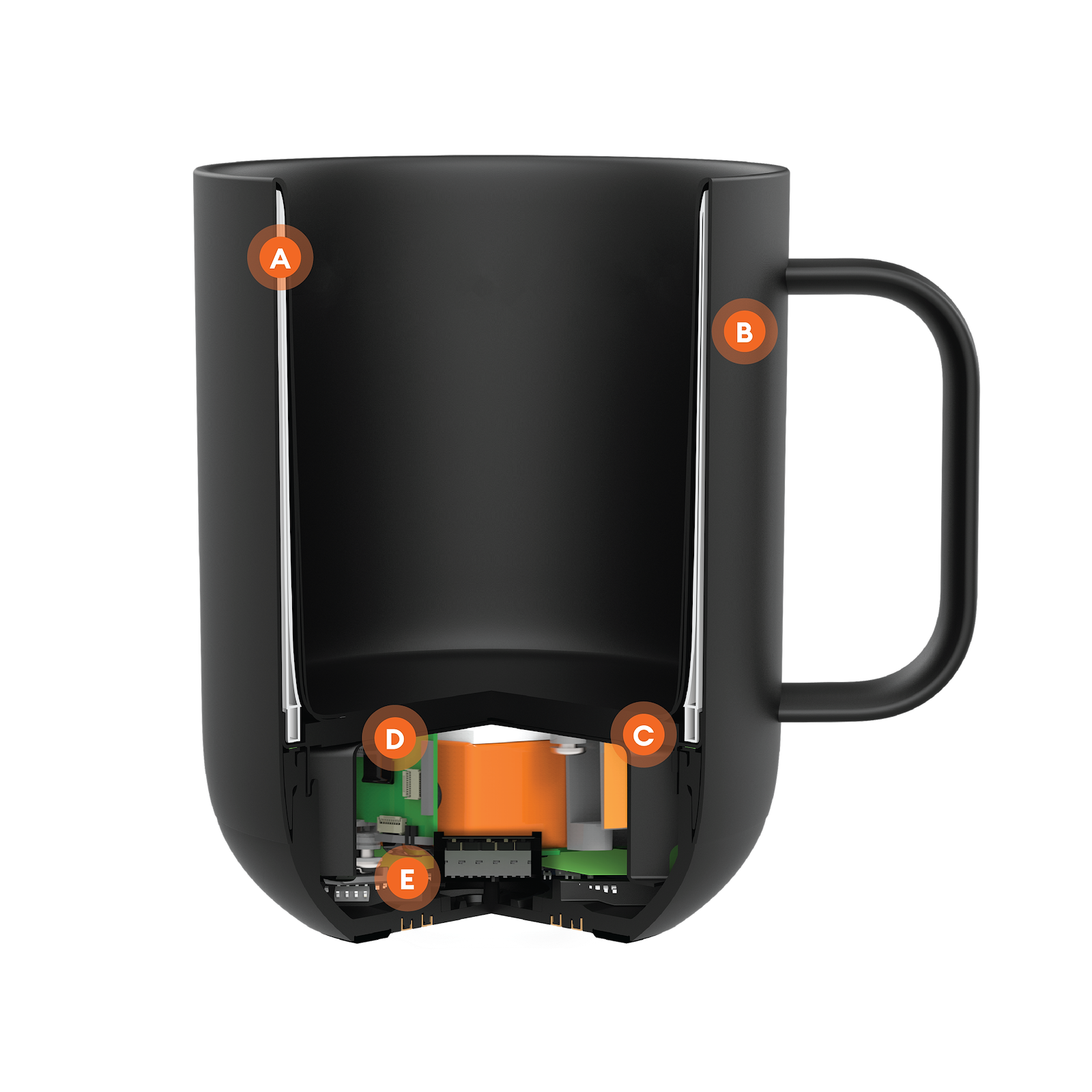 Cutaway of the Ember Mug² showcasing the advanced technology of the internal components