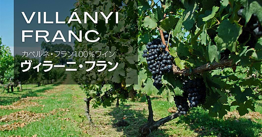 ヴィラーニ・フラン