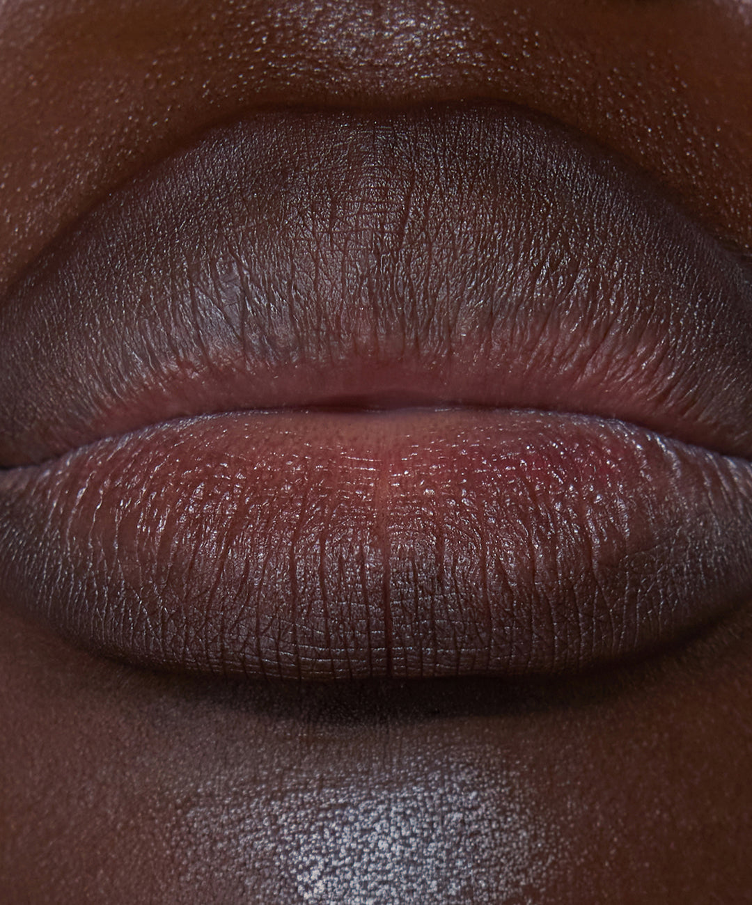 | desc: | text: light Lip Sculpt in shade Clove