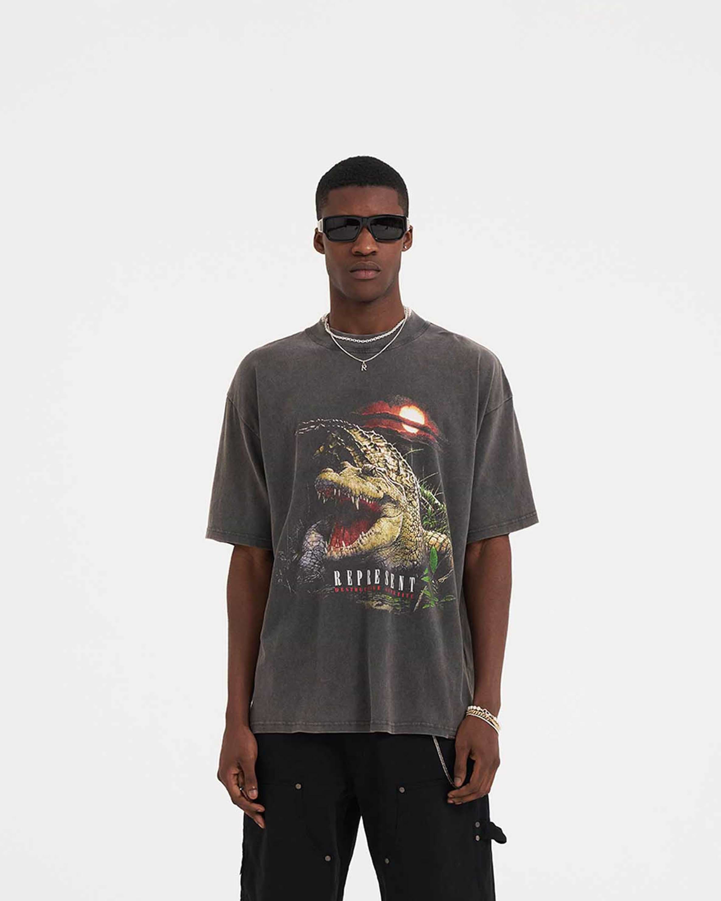 Destructive Appetite T-Shirt - Vintage Grey