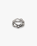 Initial Chain Ring