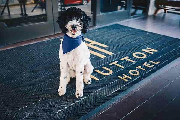 Hutton Hotel Nashville