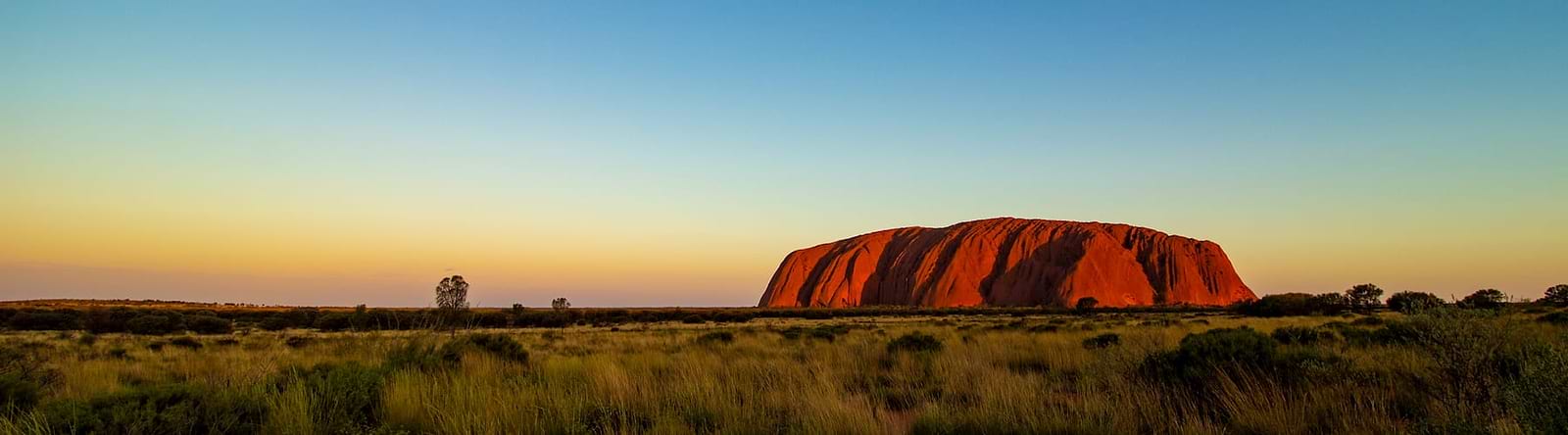 Help Us Support Australia