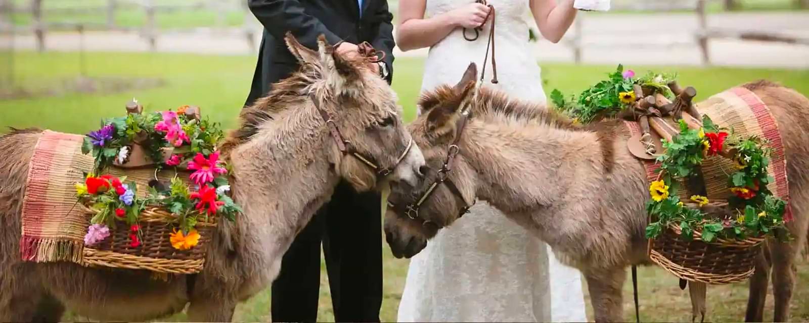 Unique Wedding Ideas: Make Your Big Day Truly Special