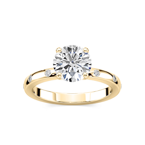 Ivy Classic Burnished Diamond Round Engagement Ring