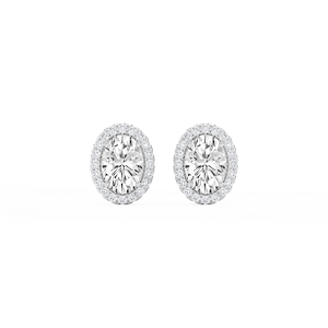 Oval Lab Grown Diamond Four Prong Basket Halo Stud Earrings