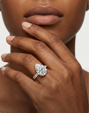 Signature Collection
