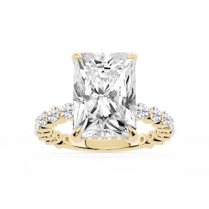 Tamara Radiant Lab Grown Diamond Single Shared Prong Hidden Halo Engagement Ring