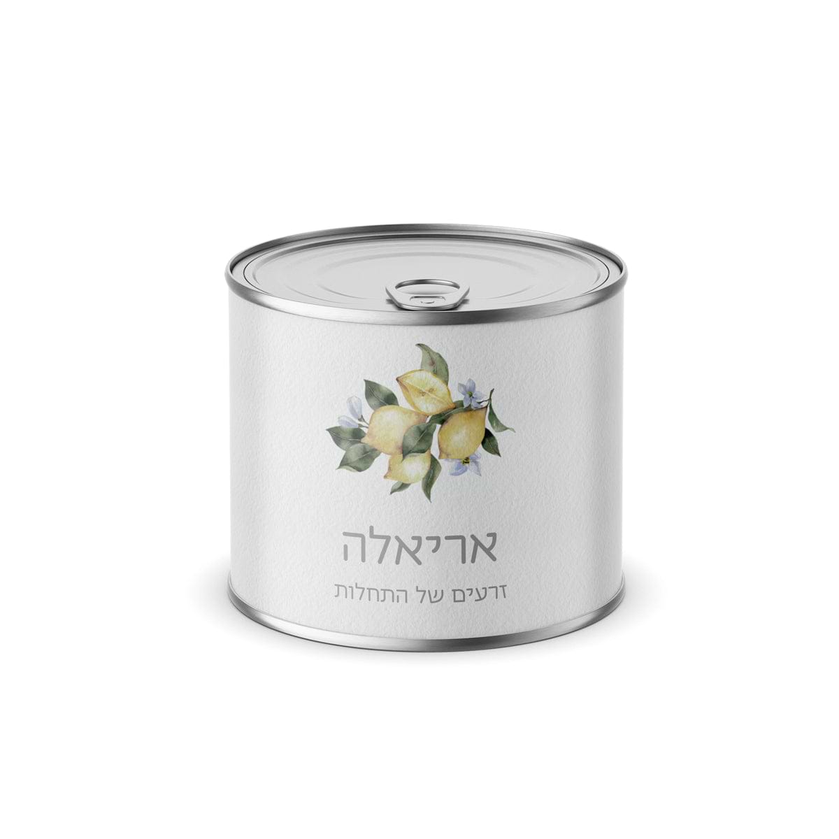 עציץ בפחית - לימונדה