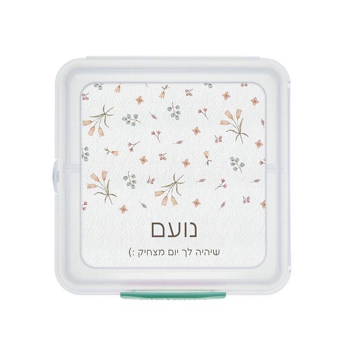 קופסת אוכל סנדוויץ' Sistema - אביב