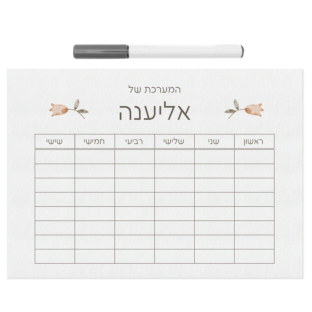 מערכת שעות - אביב