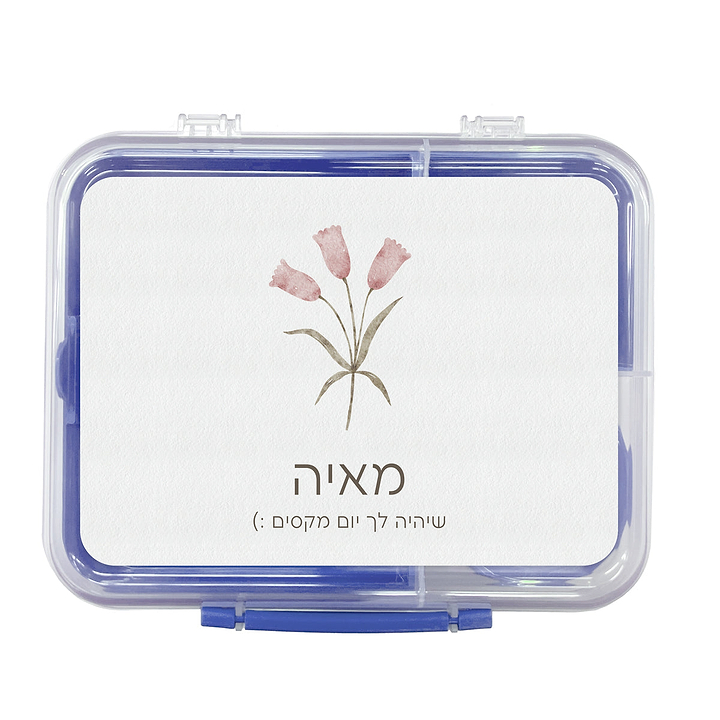 קופסת אוכל גדולה SISTEMA - אביב
