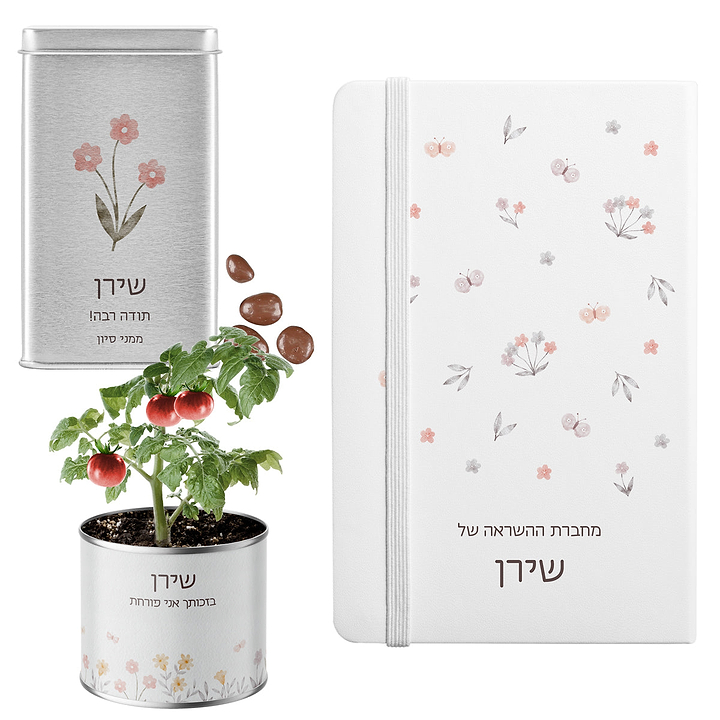 מארז לט"ו בשבט - עציץ בפחית - מחברת - מארז שוקולד - שלווה