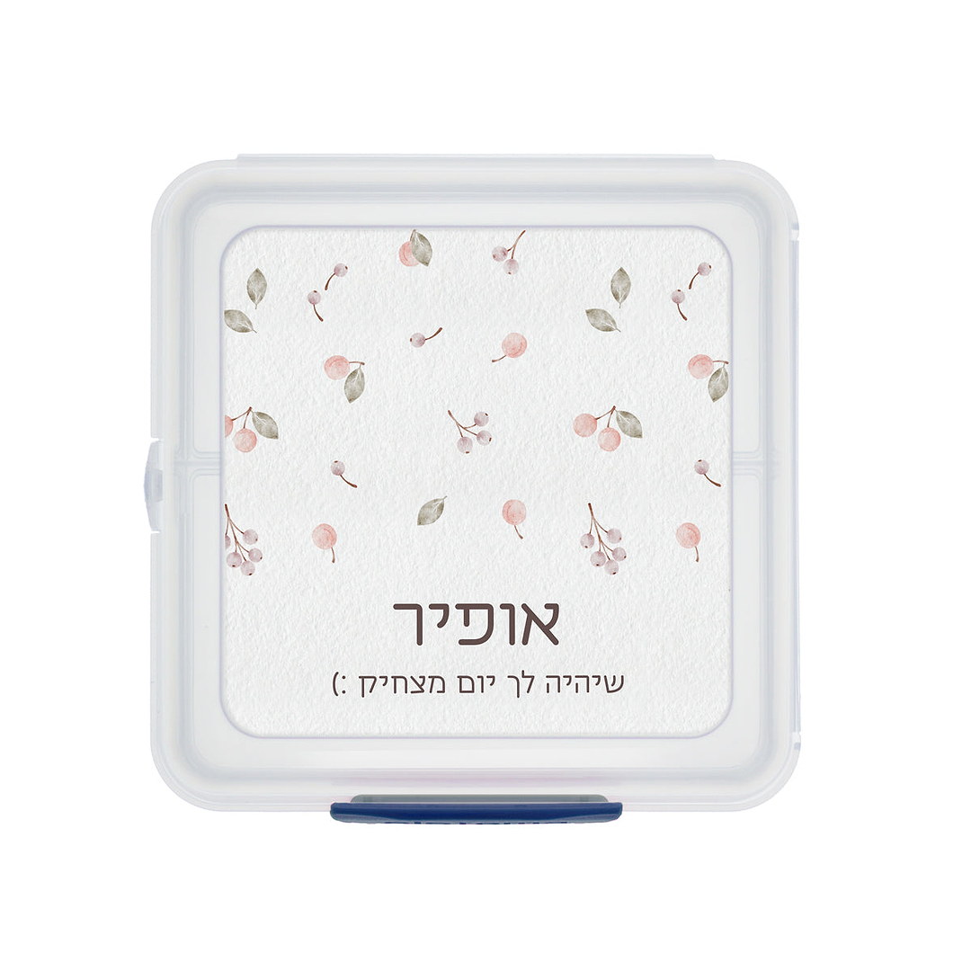 קופסת אוכל סנדוויץ' Sistema - שלווה