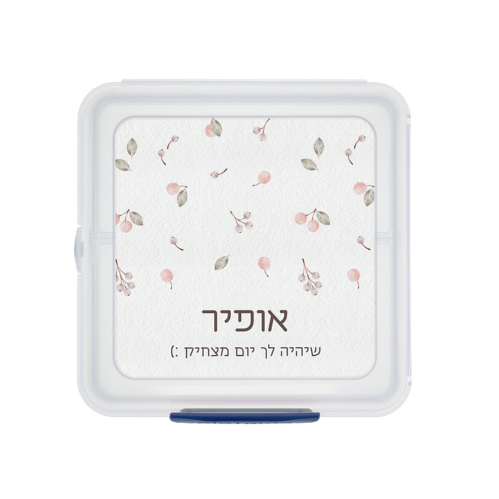 קופסת אוכל סנדוויץ' Sistema - שלווה