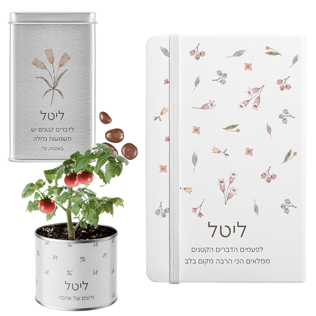 מארז לט"ו בשבט - עציץ בפחית - מחברת - מארז שוקולד - אביב
