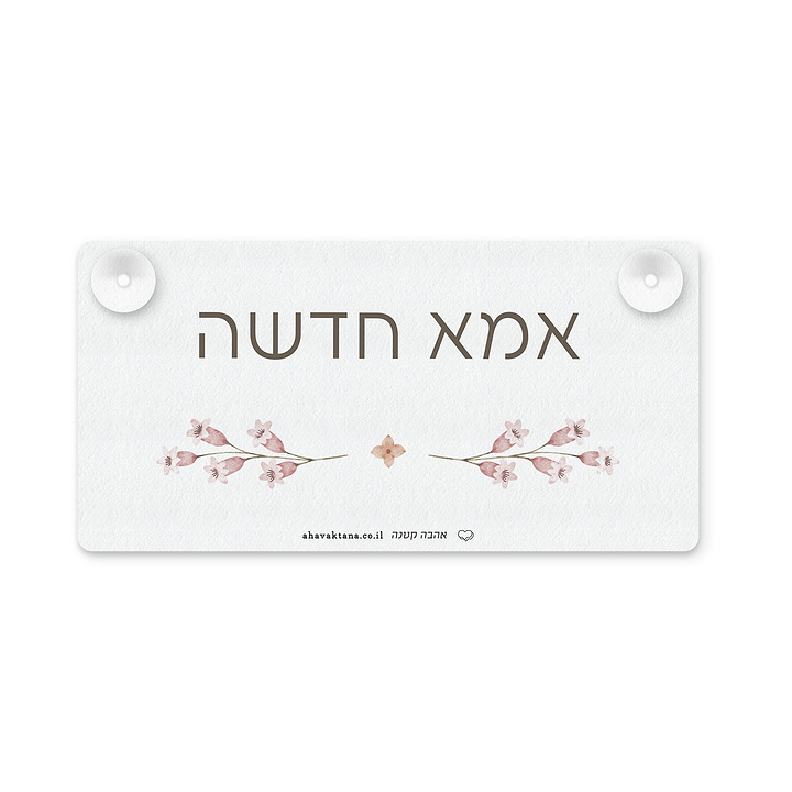 שלט לרכב - אביב