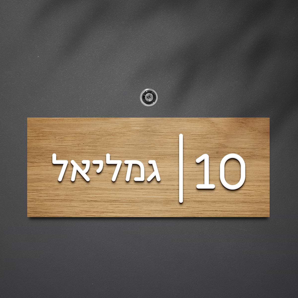 שלט לדלת אותיות בולטות משולב