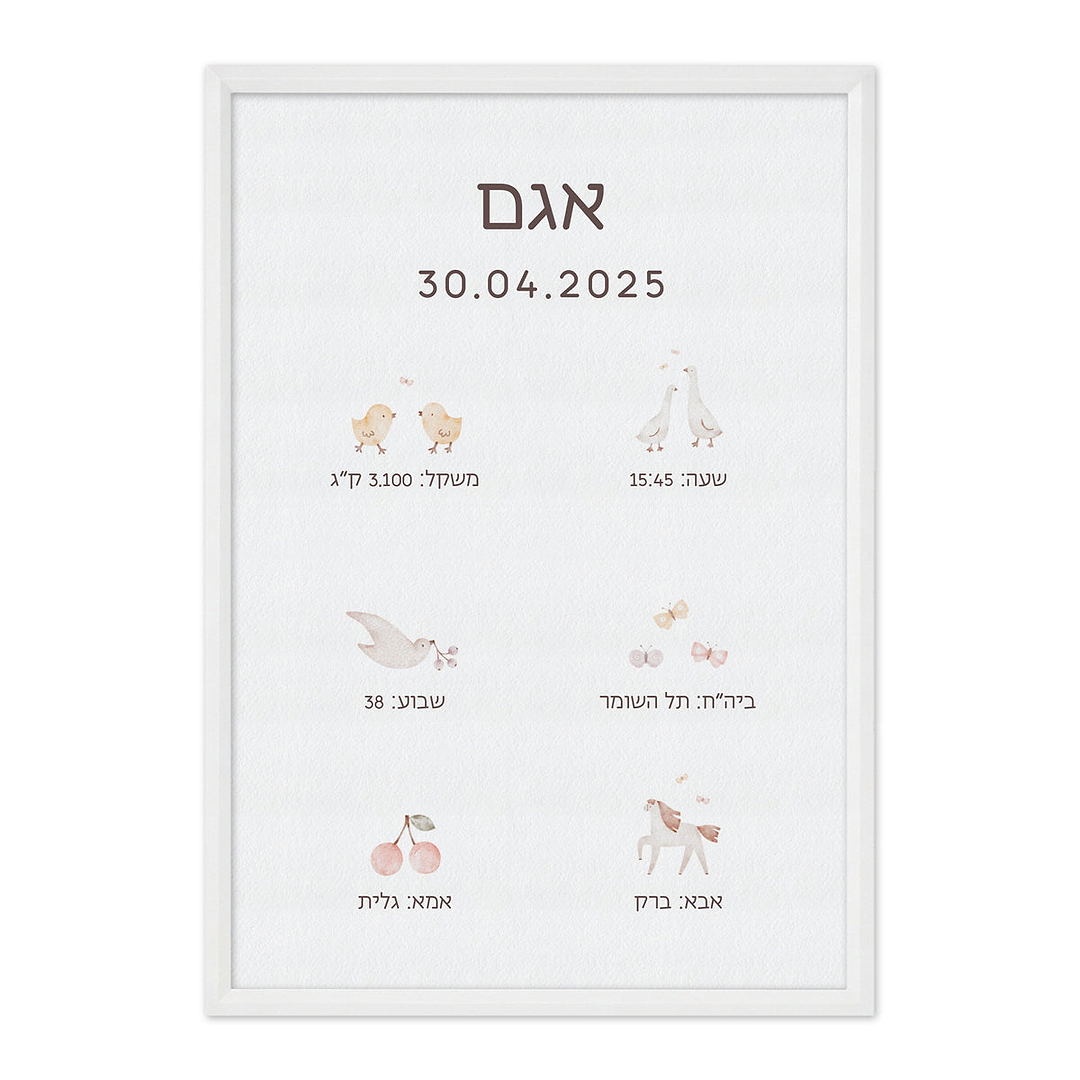 תעודת לידה - שלווה