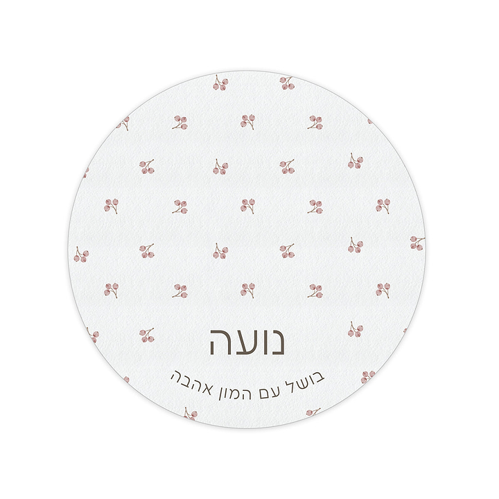 מארז מתנה למטבח ספר מתכונים + קופסת עוגיות + תחתית לסיר + מגנטים - אביב