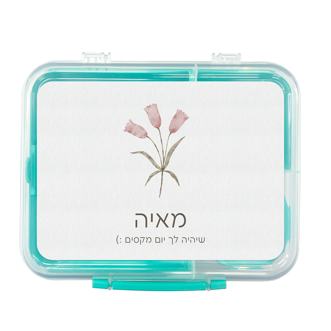 קופסת אוכל גדולה SISTEMA - אביב