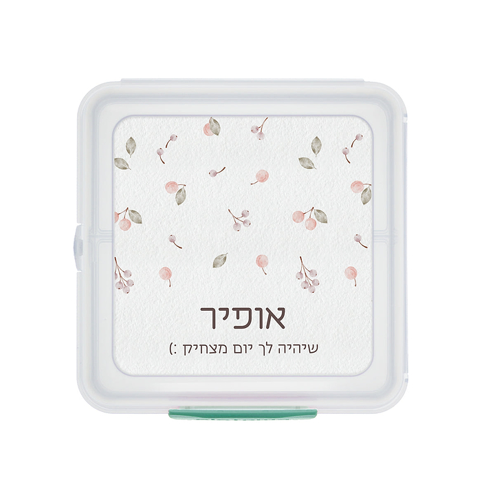 קופסת אוכל סנדוויץ' Sistema - שלווה