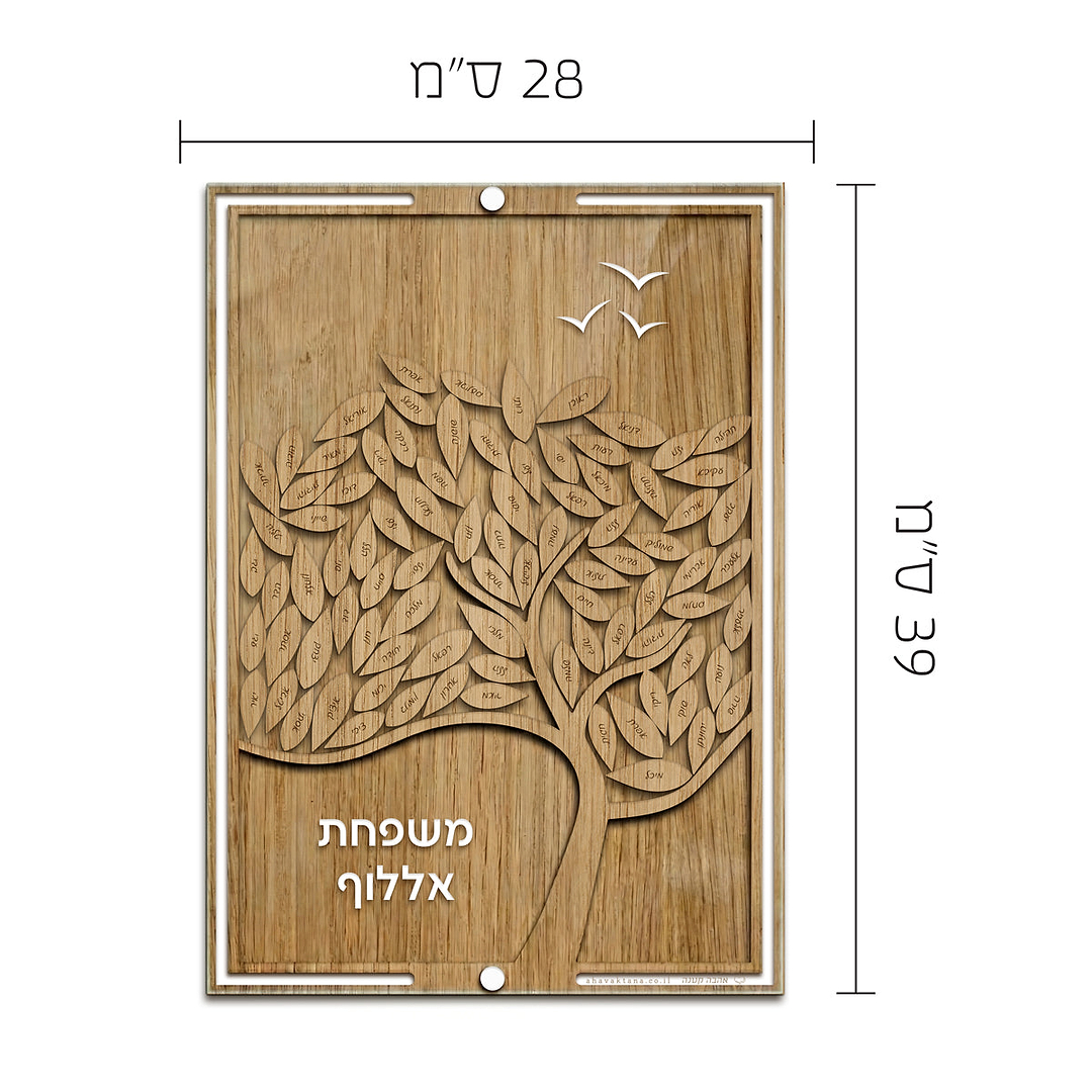 עץ משפחה - גדול