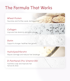 Root-Strengthening Hair Fall Control Shampoo