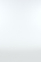Austin Airweight Crop Polo - Black/White