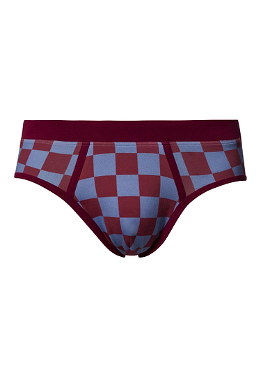 HANRO_252_M_ArthurArbesser_Briefs_076365_073068_010.jpg
