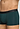 Close-up view of a men model wearing HA pine leaf microfibre Pants