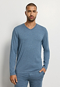 HANRO_261_M_Casuals_LSLVShirtVNeck_075036_073082_040.jpeg