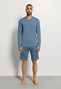 HANRO_261_M_Casuals_LSLVShirtVNeck_075036_073082_060.jpeg