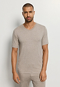 HANRO_261_M_Casuals_SSLVShirtVNeck_075035_073115_040.jpeg