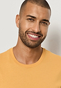 HANRO_261_M_LivingShirts_SSLVShirt_075050_072278_090.jpeg