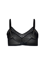 HANRO_261_W_Orea_SoftCupBra_070807_070019_020.jpeg