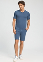 Full-body view of a men model wearing HA tanzanite melange modal/viscose/tencel S/SLV Shirt V-Neck