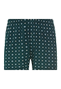 Front cutout view of HA pisces garden cotton Boxers