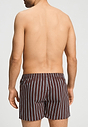 Back view of a men model wearing HA libra stripes cotton Boxers