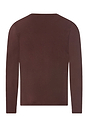 Back cutout view of HA glazed chocolate cotton L/SLV Shirt