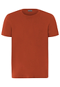 Front cutout view of HA roobios tea cotton S/SLV Shirt