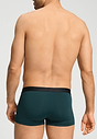 Back view of a men model wearing HA pine leaf microfibre Pants