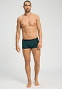 Full-body view of a men model wearing HA pine leaf microfibre Pants