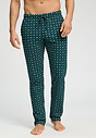 Front view of a men model wearing HA pisces garden cotton Long Pants