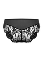 Back cutout view of HA black microfibre Midi Briefs