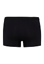 HANRO_B_M_CottonEssentials_Pants_073102_070900_020.jpg