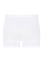 Back cutout view of Hanro white cotton Pants