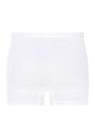 HANRO_B_M_CottonPure_Pants_073634_070101_020.jpg