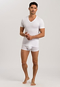HANRO_B_M_CottonSuperior_SSLVShirtVNeck_073089_070101_060.jpg