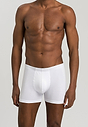 HANRO_B_M_CottonSuperior_ShortlegPants_073090_070101_040.jpg